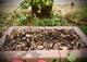 #1: Was mache ich falsch?