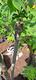 #1: Versuch