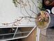 #1: Hilfe 