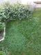 #1: Teilen von Rozanne m�glich?