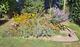 #1: R�ckschritt im Herbst