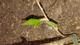 #2: Antwort