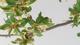 #1: Antwort