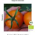 Tomate Auriga (Orange) BIO - Salattomate