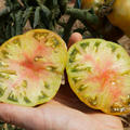 Fleischtomate Ananori BIO