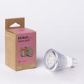 Anzuchtlampe