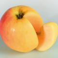 Apfel Paradis� Fata M.