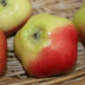 Apfel Sternapi (Dekoapfel)