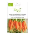 Karotte, China robust Selektion Z (Fr�hkarotten)