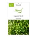 Gartenkerbel (einj�hrig)