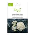 Blumenkohl, Perfection d'Automne
