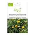 Speisechrysantheme, Gelbes Kr�nzchen (einj�hrig)