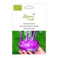 Kohlrabi, Blaue Speck