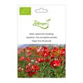 Mohn, Seidenmohn (einj�hrig)