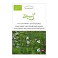 Cosmea, Pastellfarben gemischt (einj�hrig)