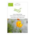 Cosmea, Orange (einj�hrig)