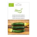 Zucchetti, Grey Zucchini Selektion Z