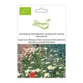 Gr�nd�ngung, Ackerbegleitflora (einj�hrig oder einj�hrig �berwinternd)