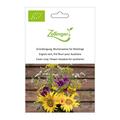Gr�nd�ngung, Blumenwiese f�r N�tzlinge