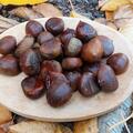 Esskastanie Maraval, Castanea  sativa