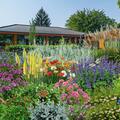Staudenbeet 'F�r kleine Garten Zwerge'