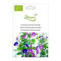 Prunkwinde, Pink-Blue (einj�hrig)