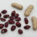 (Not) Just Peanuts� Justblack�
