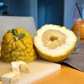 Kaiserzitrone - Lipo, Citrus limon x Citrus paradisii