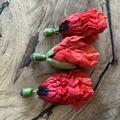 Papaver rhoeas, Klatschmohn