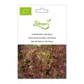 Eichblattsalat, Lollo Rossa