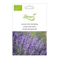 Lavendel, Echter (mehrj�hrig)