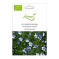 Gemeiner Lein (Flachs), Blaubl�hend (einj�hrig)