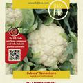 Blumenkohl (Karfiol) 'Neckarperle'