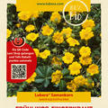 Fr�hlings-Fingerkraut