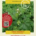 Gem�semalve (Garten-K�sepappel)