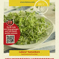 Keimsprossen Microgreens Rucola 15g