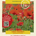 Klatschmohn