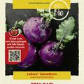 Kohlrabi 'Blaro'
