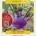Kohlrabi 'Delikatess blauer'