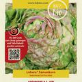 Kopfsalat 'Wintermarie'