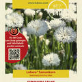 Kornblume wei�