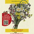 Naturb�ndel Bio-Wildblumenmischung f�r Romantiker