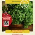 Petersilie 'Gr�ne Perle'