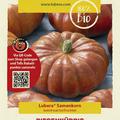 Riesenk�rbis 'Rouge vif d'Etampes'