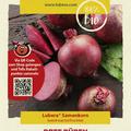 Rote R�ben 'Rote Kugel 2'