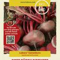 Rote R�ben d'Egypte