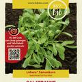 Salatrauke (Rucola) Samen