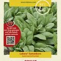 Spinat 'Winterriesen'
