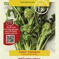 St�ngelkohl 'Cima di rapa'