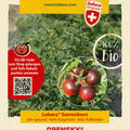Lubera Samenkorn, Samen, Open Sky, Tomaten, Freiland, Schlingel Filou